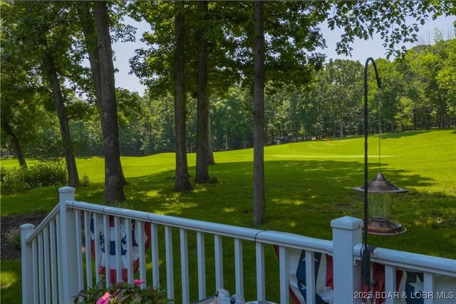 13 Avilia Dr, Sunrise Beach, MO 65079 - photo 27