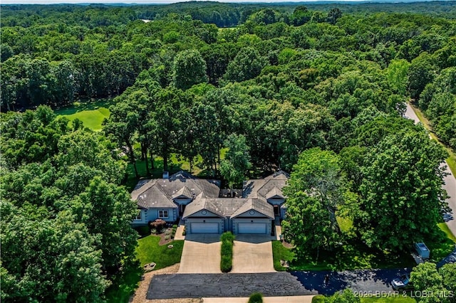 13 Avilia Dr, Sunrise Beach, MO 65079 - photo 30