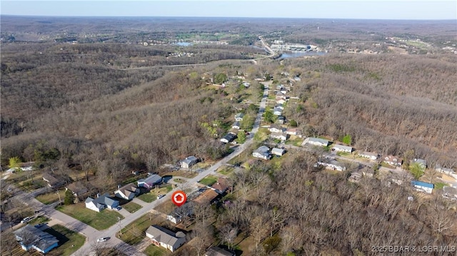 462 Lakeview Dr, Camdenton, MO 65020 - view of property location featuring a forest