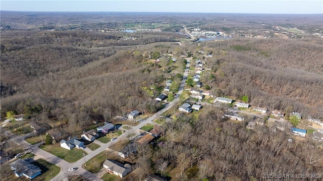 462 Lakeview Dr, Camdenton, MO 65020 - aerial view of property's location with a forest