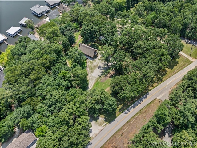 28 Hamilton Way, Sunrise Beach, MO 65079 - aerial view of property and surrounding area