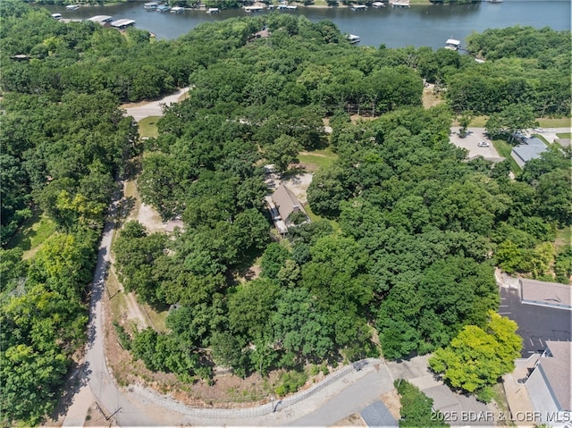 28 Hamilton Way, Sunrise Beach, MO 65079 - aerial view of a large body of water