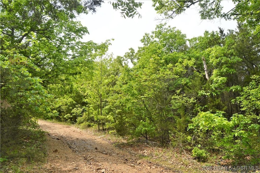 TRACTS26 And Cir, Brumley, MO 65017 - photo 2
