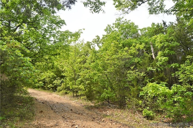 TRACTS26 And Cir, Brumley, MO 65017 - photo 2