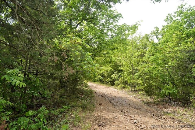 TRACTS26 And Cir, Brumley, MO 65017 - photo 3