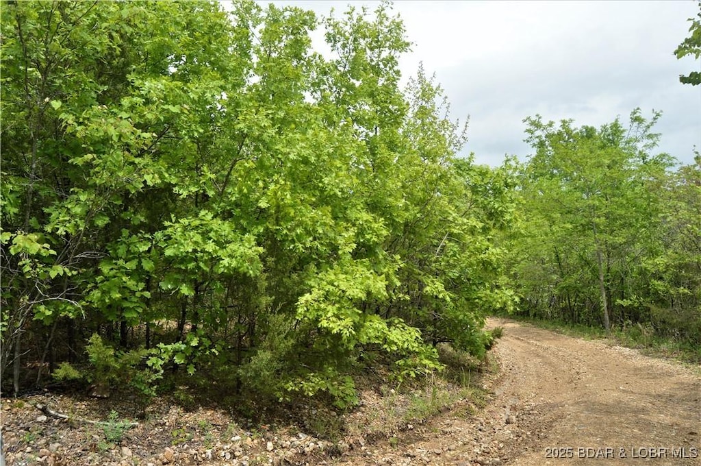 TRACTS26 And Cir, Brumley, MO 65017 - photo 4