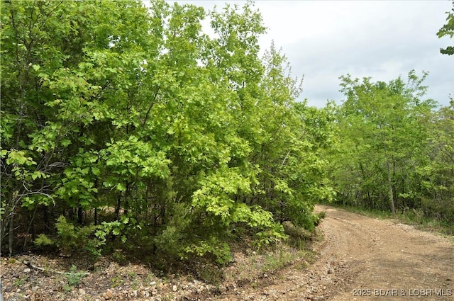 TRACTS26 And Cir, Brumley, MO 65017 - photo 4