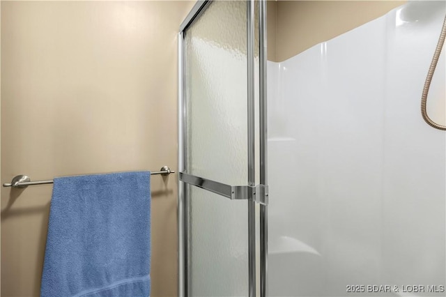 164 Get A Way Ln, Camdenton, MO 65020 - full bath featuring an enclosed shower