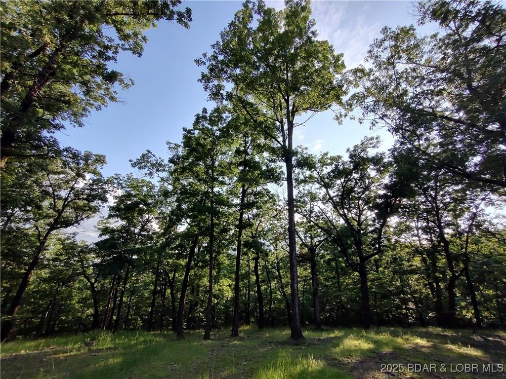 5 Antler Pt, Linn Creek, MO 65052 - photo 50