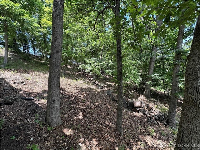 20 Barba Le Ln, Lake Ozark, MO 65049 - view of woods