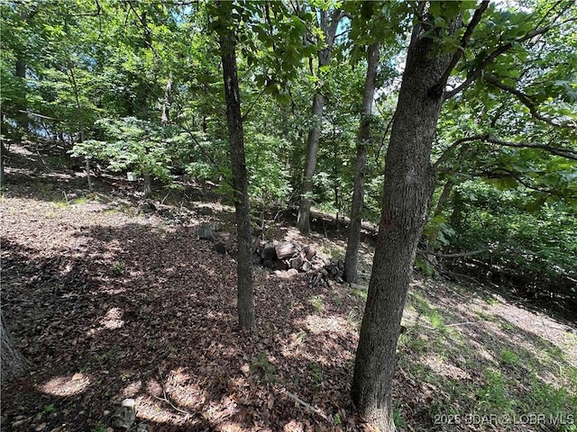 20 Barba Le Ln, Lake Ozark, MO 65049 - view of wooded area