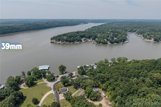 1508 Purvis Rd, Sunrise Beach, MO 65079 - bird's eye view of a heavily wooded area and a large body of water