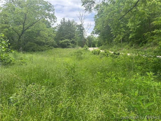 Kolb Hollow Rd, Climax Springs, MO 65324