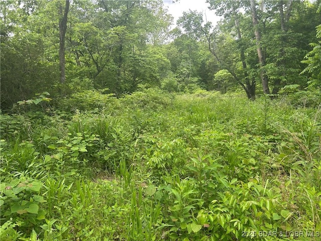 Kolb Hollow Rd, Climax Springs, MO 65324