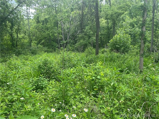 Kolb Hollow Rd, Climax Springs, MO 65324
