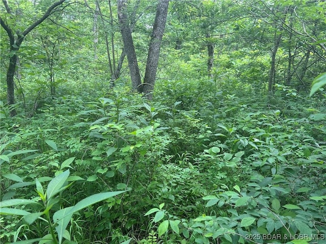 Kolb Hollow Rd, Climax Springs, MO 65324