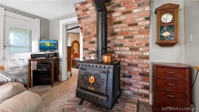 87 Outback Loop, Linn Creek, MO 65052 - detailed view of carpet and a wood stove