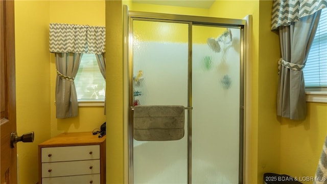 87 Outback Loop, Linn Creek, MO 65052 - bathroom with a stall shower