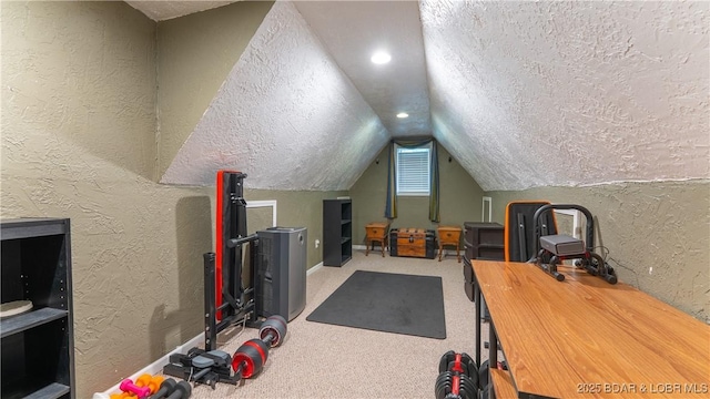 87 Outback Loop, Linn Creek, MO 65052 - additional living space with vaulted ceiling, a textured wall, a textured ceiling, and carpet flooring