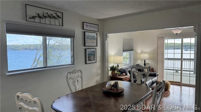 28136 Lyndsey Ln, Rocky Mount, MO 65072 - dining room with wood finished floors, a textured ceiling, and a water view
