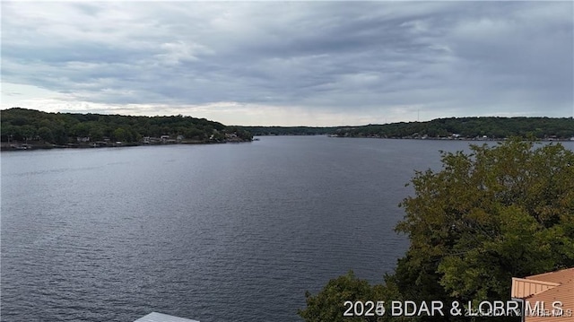 28136 Lyndsey Ln, Rocky Mount, MO 65072 - water view