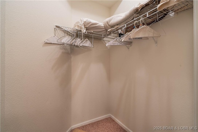 440 Cedar Heights Dr Unit 1C, Camdenton, MO 65020 - spacious closet featuring carpet floors