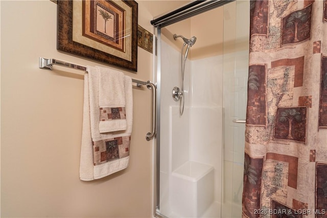 440 Cedar Heights Dr Unit 1C, Camdenton, MO 65020 - full bathroom with a shower stall