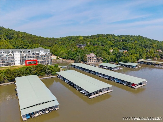 440 Cedar Heights Dr Unit 1C, Camdenton, MO 65020 - bird's eye view of a heavily wooded area and a nearby body of water