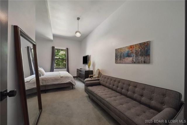 626 Eagle Dr, Four Seasons, MO 65049 - carpeted bedroom featuring high vaulted ceiling