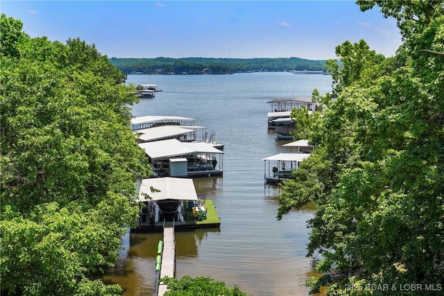 626 Eagle Dr, Four Seasons, MO 65049 - water view featuring a boat dock