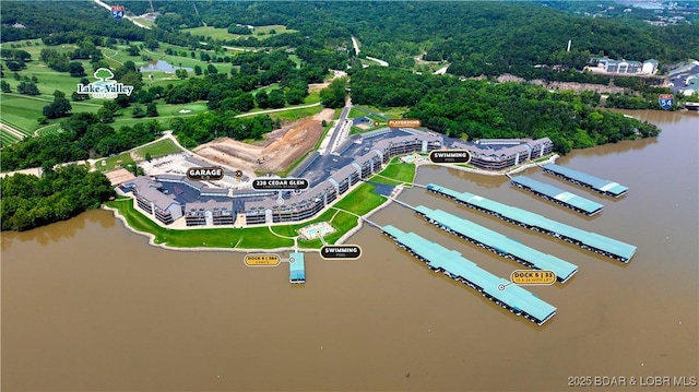 238 Cedar Glen Dr Unit 3F, Camdenton, MO 65020 - aerial view of a large body of water
