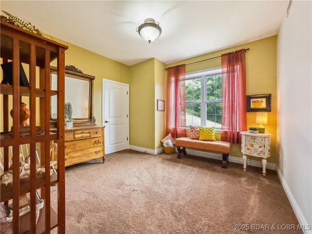 172 Highland Pkwy, Camdenton, MO 65020 - living area featuring carpet flooring