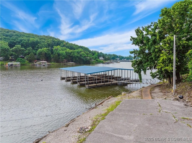 172 Highland Pkwy, Camdenton, MO 65020 - dock area featuring a water view and a view of trees