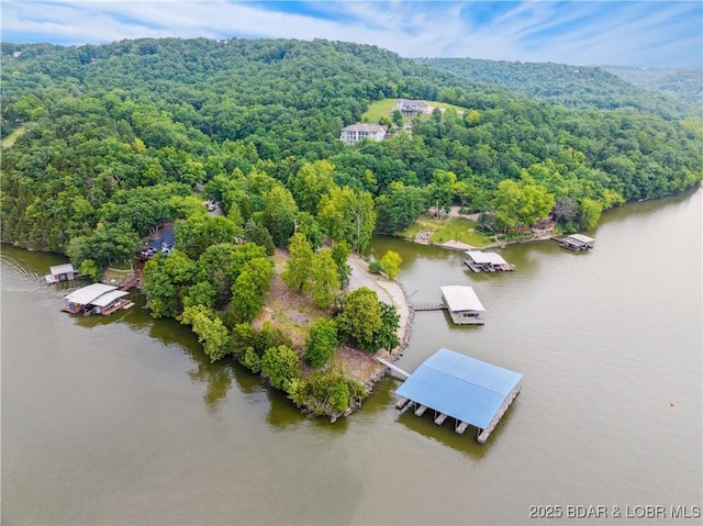 172 Highland Pkwy, Camdenton, MO 65020 - aerial view of a heavily wooded area and a large body of water