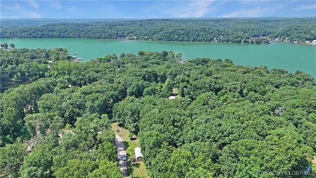 3737 Walnut Hills Rd, Stover, MO 65078 - aerial overview of property's location featuring a forest and a large body of water