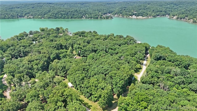 3737 Walnut Hills Rd, Stover, MO 65078 - aerial view of property's location with a large body of water