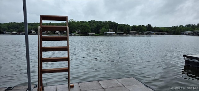 30141 Gentle Cv, Gravois Mills, MO 65037 - dock featuring a water view and a forest view