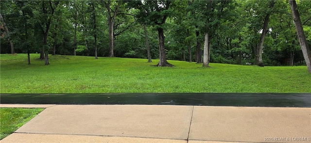 30141 Gentle Cv, Gravois Mills, MO 65037 - view of grassy yard
