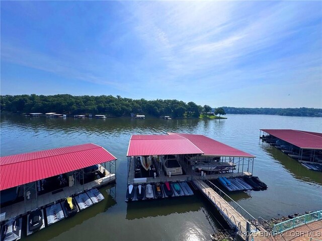 194 Sac Rd Unit D303, Sunrise Beach, MO 65079 - photo 25