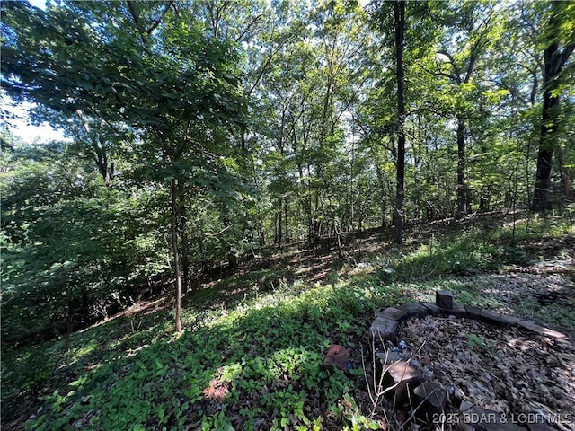 1509 Oak Bend Rd, Sunrise Beach, MO 65079 - view of local wilderness