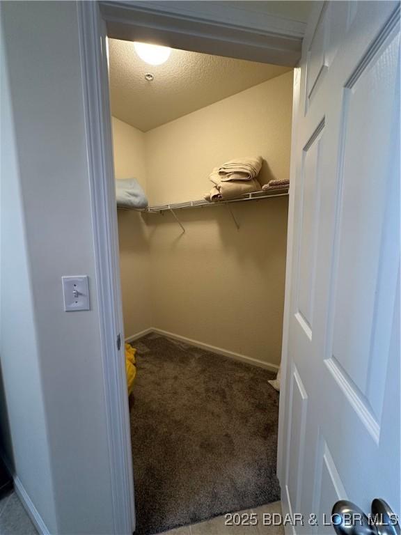 18134 Millstone Cove Rd Unit 212, Gravois Mills, MO 65037 - walk in closet with carpet flooring