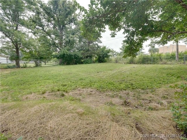 25 Primrose Ln, Camdenton, MO 65020 - view of yard