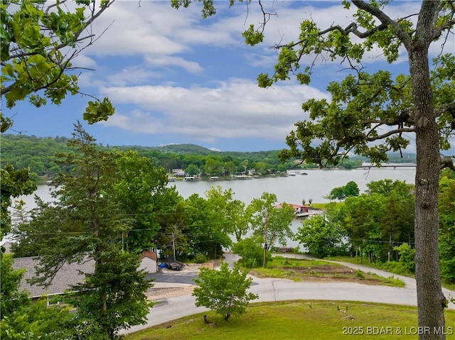 73 Good Neighbors Loop, Camdenton, MO 65020 - water view with a forest