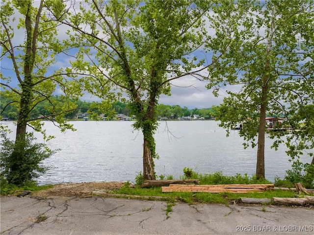 73 Good Neighbors Loop, Camdenton, MO 65020 - water view