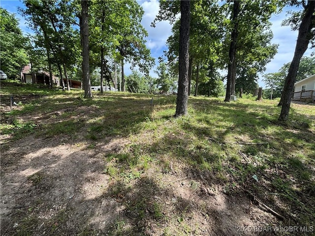 218 Chipmunk Dr, Edwards, MO 65326 - photo 2
