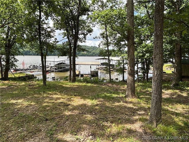 218 Chipmunk Dr, Edwards, MO 65326 - photo 3