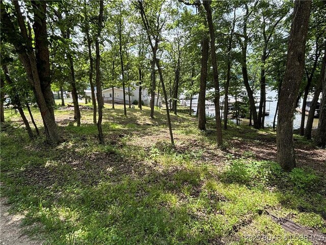 218 Chipmunk Dr, Edwards, MO 65326 - photo 6