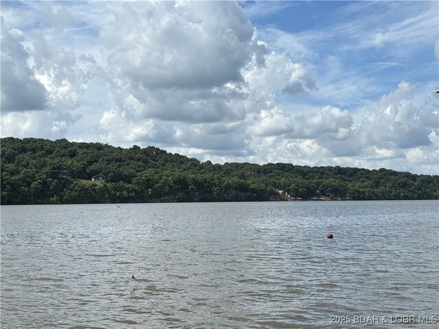 218 Chipmunk Dr, Edwards, MO 65326 - photo 9