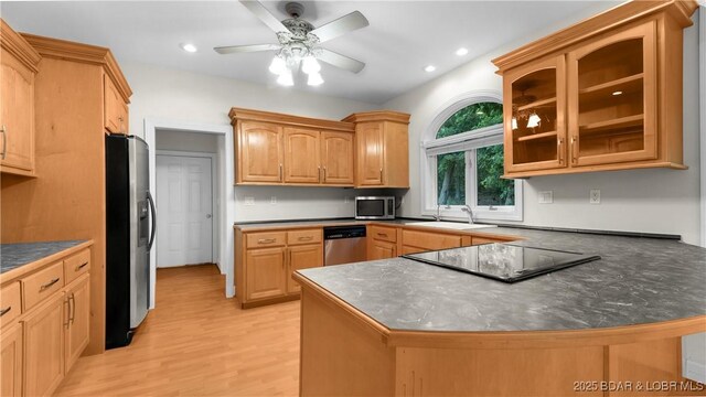 135 Greensboro Ct, Four Seasons, MO 65049 - kitchen with appliances with stainless steel finishes, a peninsula, a ceiling fan, light wood-style floors, and glass insert cabinets