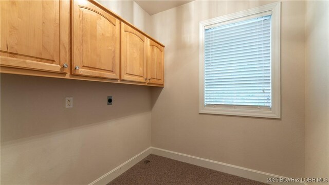 135 Greensboro Ct, Four Seasons, MO 65049 - laundry area featuring cabinet space, hookup for an electric dryer, and carpet flooring